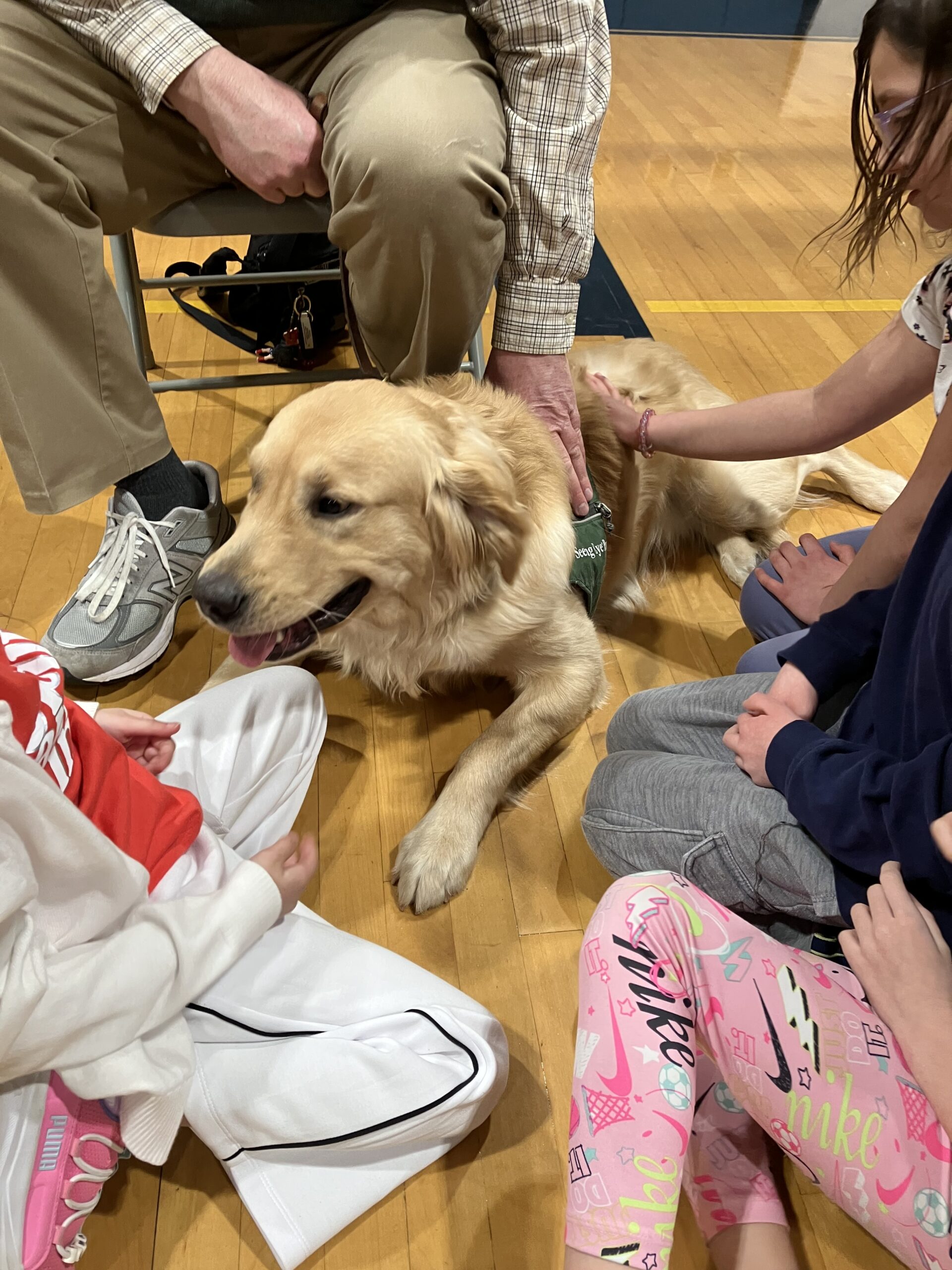 The Seeing Eye: Full Day Program